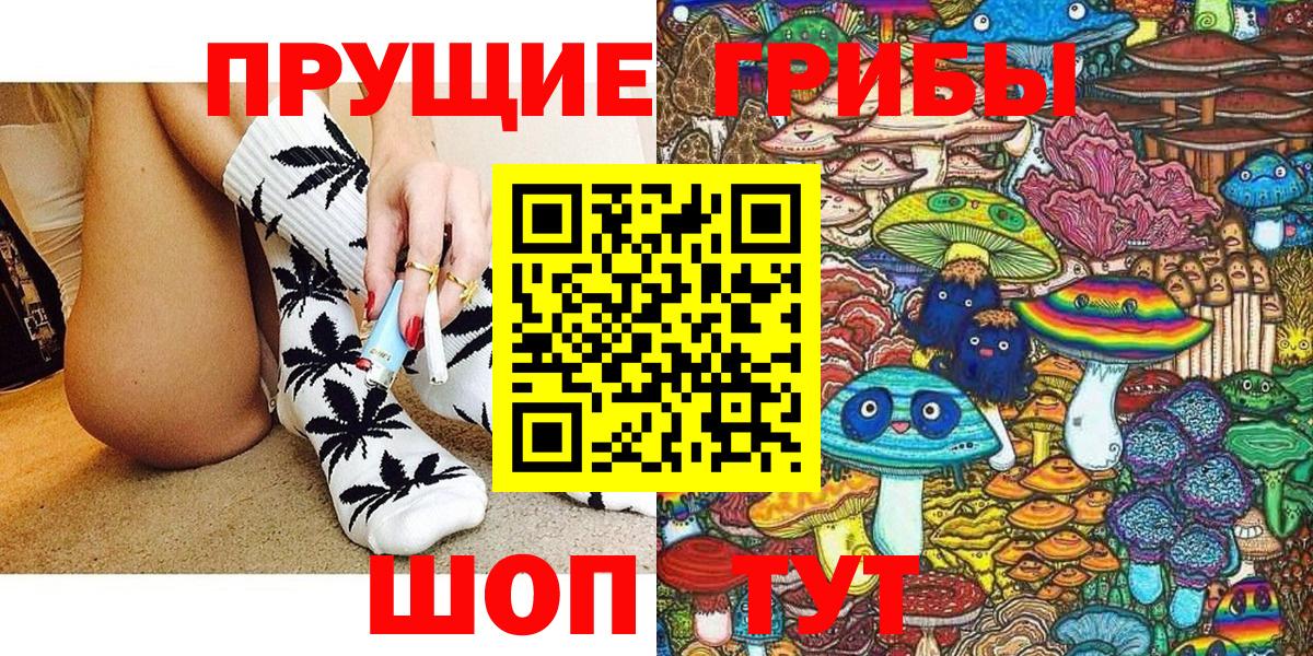 Туапсе  Галлюциногенные грибы Cubensis  Вход с VPN 